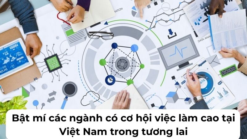 Bật mí các ngành có cơ hội việc làm cao tại Việt Nam trong tương lai