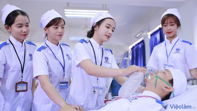 Y tá và nhân viên chăm sóc sức khỏe