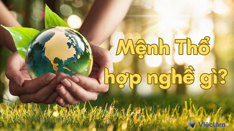 Mệnh Thổ hợp nghề gì? Top nghề giúp mệnh Thổ giàu nhất