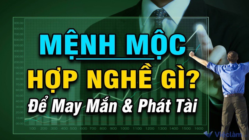 Mệnh Mộc hợp nghề gì? Định hướng nghề nghiệp thành công cho người mệnh Mộc