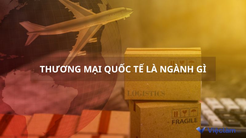 Thương mại quốc tế là ngành gì