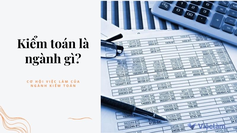 Kiểm toán là ngành gì? Cơ hội việc làm của ngành kiểm toán