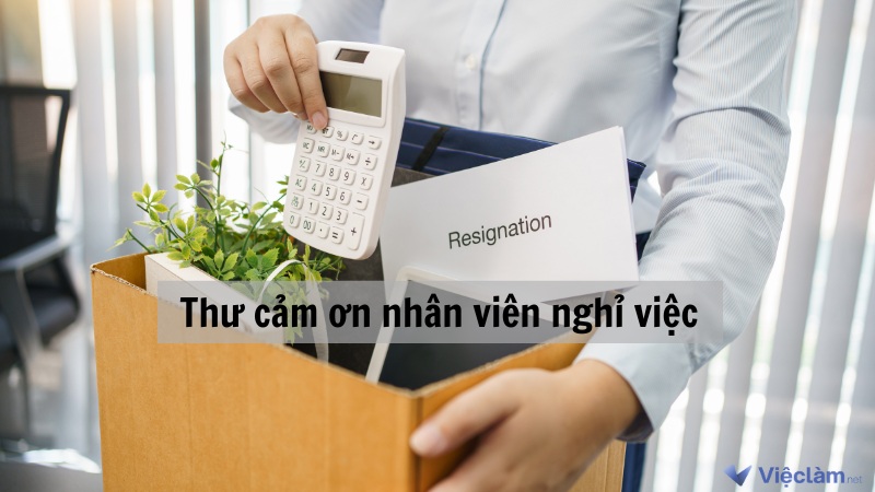 Thư cảm ơn nhân viên nghỉ việc ý nghĩa và chuyên nghiệp mới nhất 2024