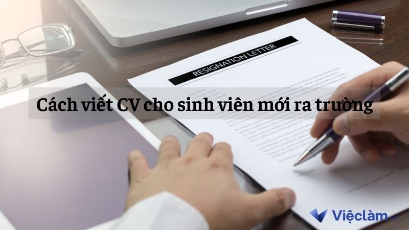 Cách viết CV cho sinh viên mới ra trường