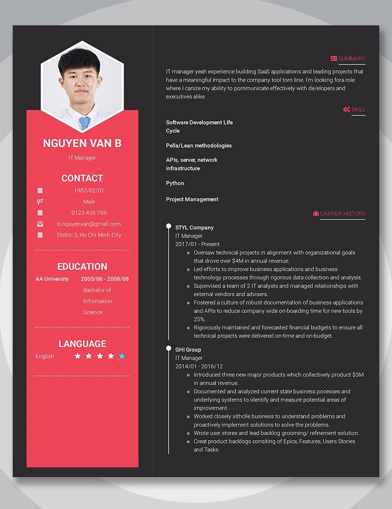 Mẫu CV ngành IT đẹp lạ (Nguồn:Internet)