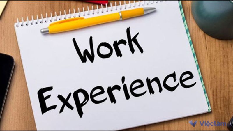 Nhà tuyển dụng thường dành nhiều sự quan tâm cho mục kinh nghiệm của ứng viên
