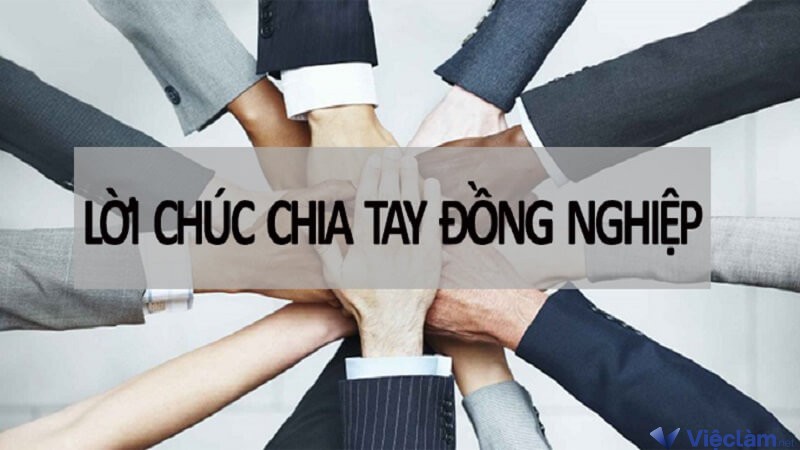 Stt chia tay đồng nghiệp khi muốn nói lời cảm ơn sếp và đồng nghiệp