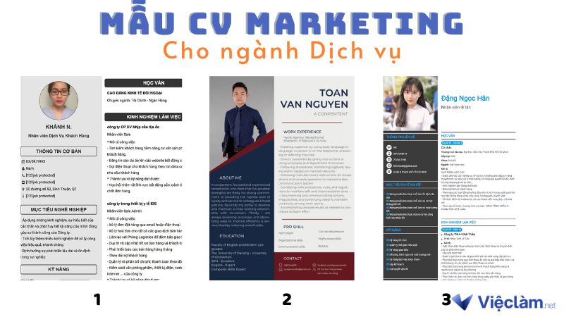 Mẫu CV Marketing cho ngành Dịch vụ