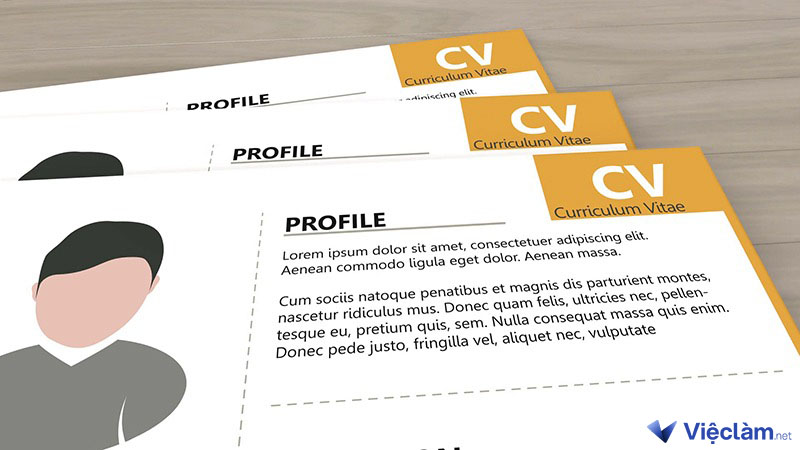 mẫu CV Partime cho sinh viên đẹp, ấn tượng