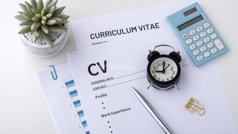 mẫu CV xin việc online