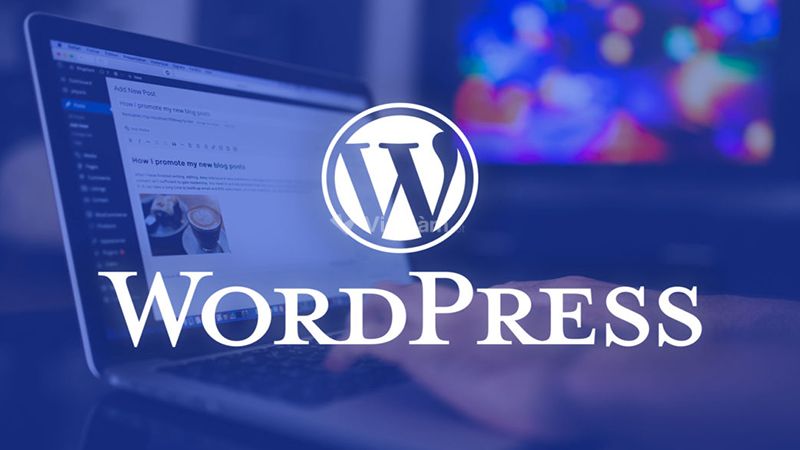 12. WordPress