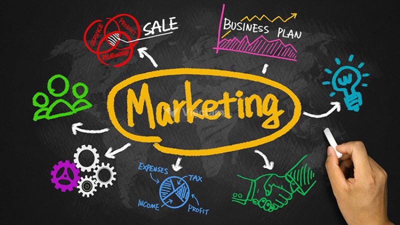 Liệu có nên học Marketing không? Ngành này mang lại những cơ hội gì?