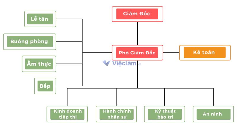 Cơ cấu tổ chức tiêu chuẩn của khách sạn 3,4 sao