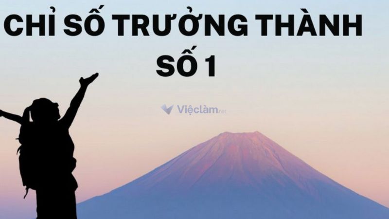 Chỉ số trưởng thành số 1