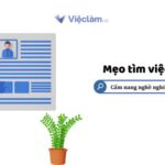 Mẫu đơn xin việc cho sinh viên mới tốt nghiệp mới nhất 2025