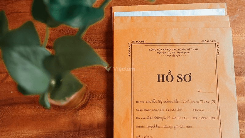 Sơ yếu lý lịch đóng vai trò quan trọng trong hồ sơ xin việc