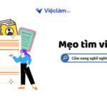 hồ sơ xin việc bao lâu hết hạn