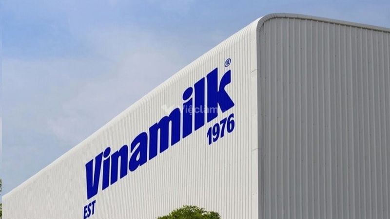 Quy trình tuyển dụng nhân sự chuyên nghiệp cho mọi doanh nghiệp Vinamilk là thương hiệu sữa có từ lâu và rất nổi tiếng tại Việt Nam