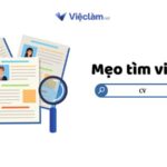 CV Xin Việc Kế Toán Mới Ra Trường