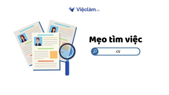 CV Xin Việc Kế Toán Mới Ra Trường