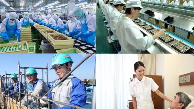 Nên học nghề gì cho nữ không bằng cấp để có thu nhập cao? Sơ lược về nhu cầu thị trường lao động hiện nay