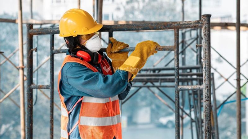Top 8 các nghề lao động phổ thông lương ổn định, không cần kinh nghiệm Top 8 các nghề lao động phổ thông lương ổn định, không cần kinh nghiệm