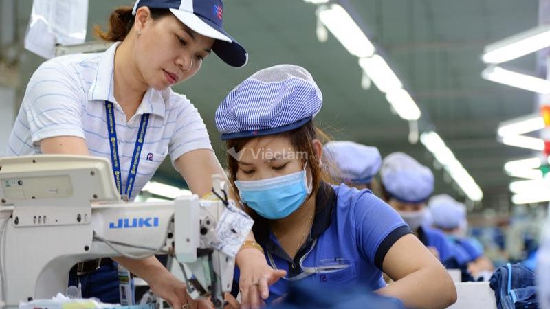 Top 8 các nghề lao động phổ thông lương ổn định, không cần kinh nghiệm Không đòi hỏi tay nghề kỹ thuật