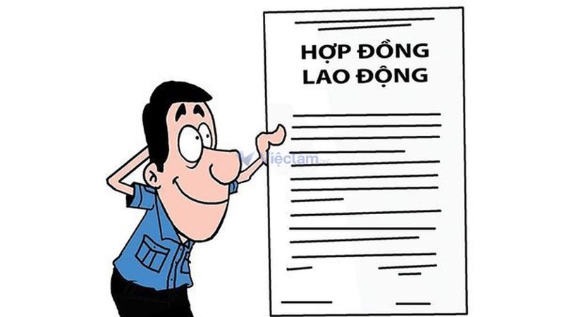 Mẫu hợp đồng lao động phổ thông chuẩn, cập nhật mới nhất 2025 Có 2 loại hợp đồng lao động phổ thông hiện nay