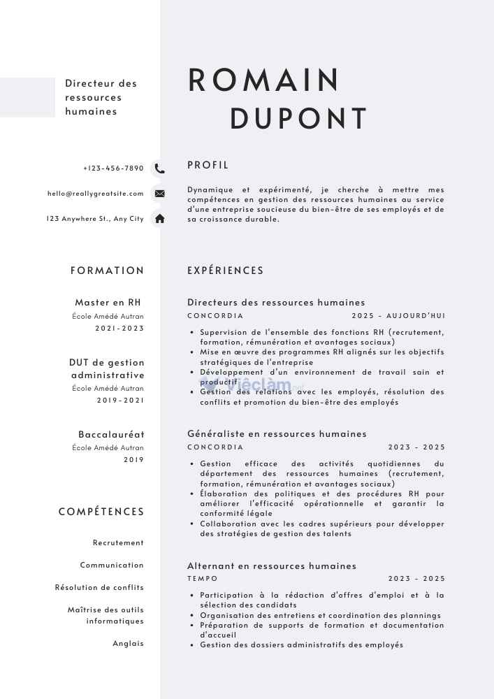 Những mẫu CV đẹp thu hút nhà tuyển dụng - 7