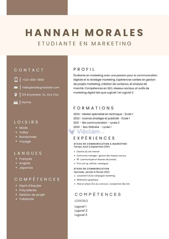Những mẫu CV đẹp thu hút nhà tuyển dụng - 8