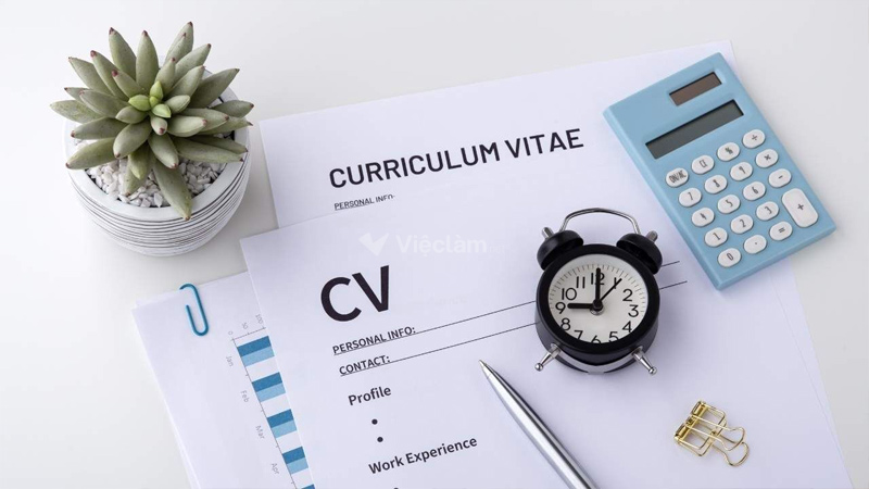 Người tham chiếu trong CV là gì? Cách trình bày đúng chuẩn Cách trình bày thông tin người tham chiếu trong CV