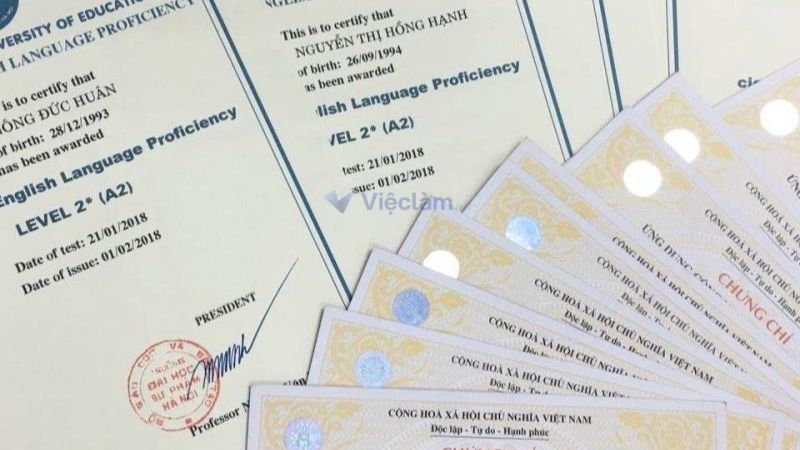 Các loại chứng chỉ tin học phổ biến và được công nhận tại Việt Nam 2025 Lệ phí thi các chứng chỉ tin học bao nhiêu?