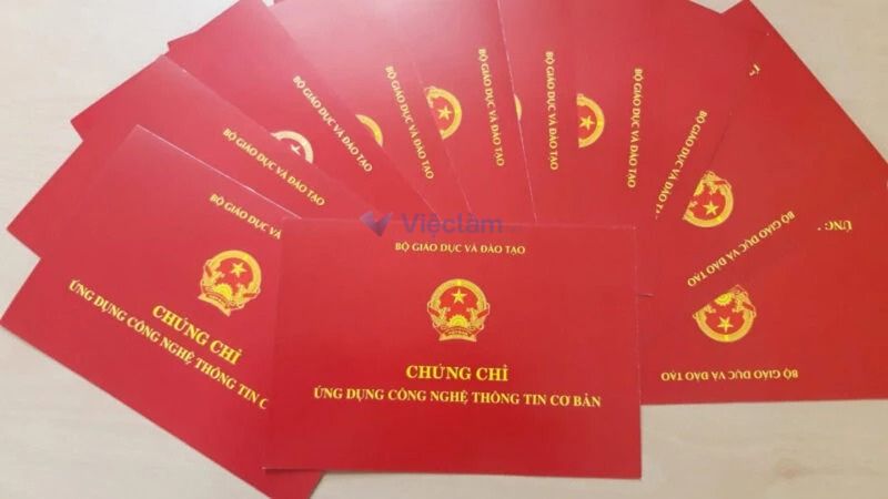 Các loại chứng chỉ tin học phổ biến và được công nhận tại Việt Nam 2025 các chứng chỉ tin học phổ biến hiện nay