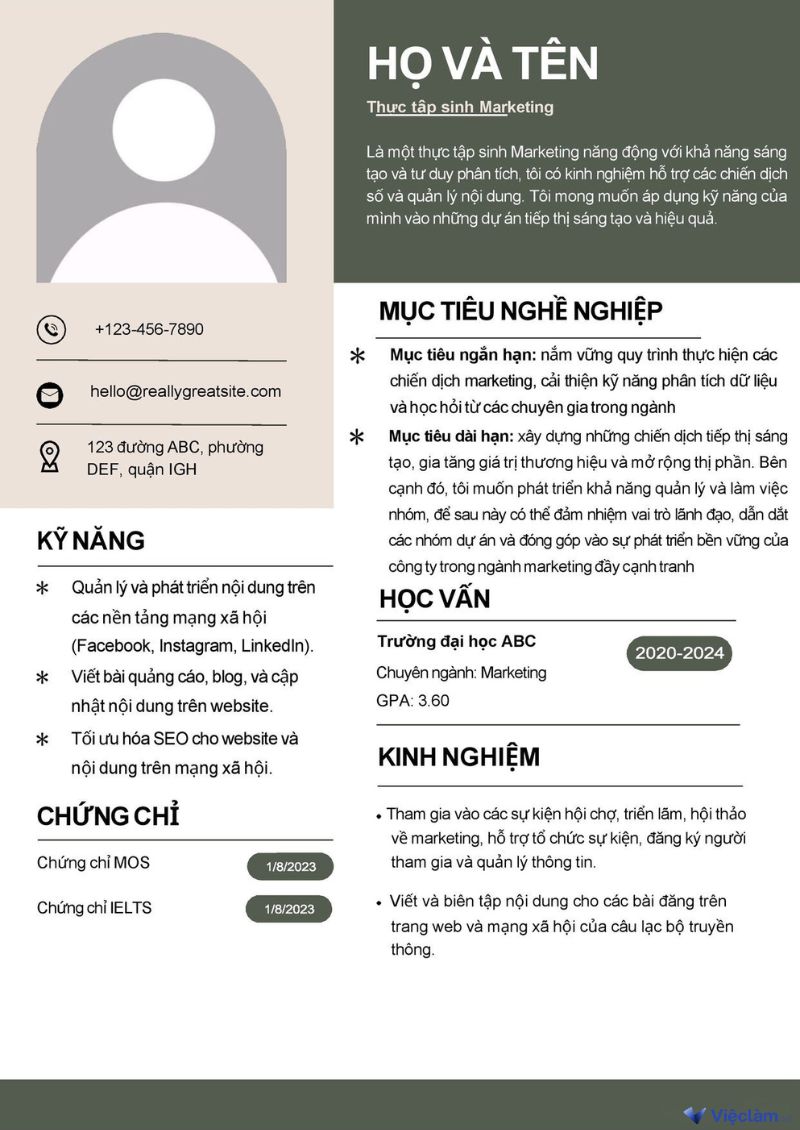 Mẫu CV cho sinh viên chưa tốt nghiệp