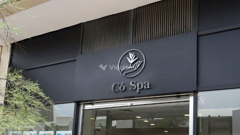 Học gội đầu dưỡng sinh ở đâu TPHCM? Danh sách các địa chỉ uy tín Cỏ Spa
