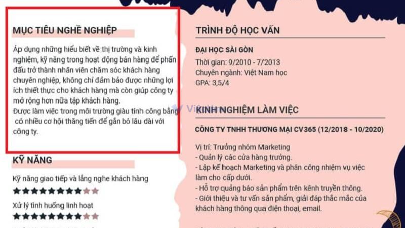 Hướng dẫn cách viết mục tiêu nghề nghiệp chăm sóc khách hàng trong CV Cách viết mục tiêu nghề nghiệp cho vị trí nhân viên chăm sóc khách hàng.