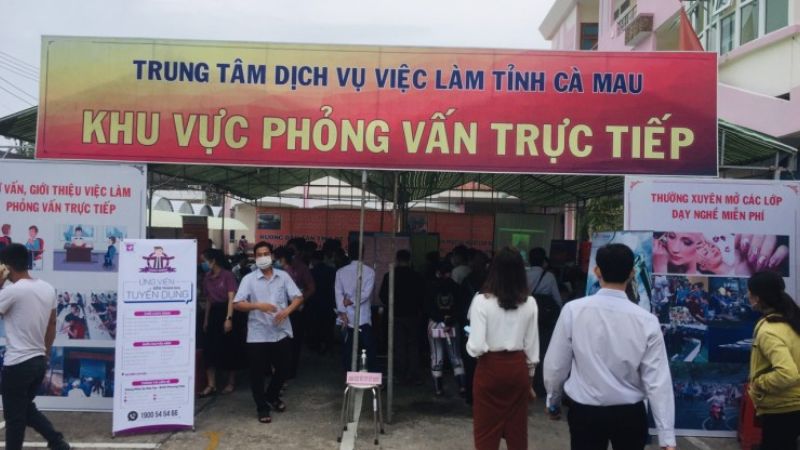Danh sách các trung tâm giới thiệu việc làm Cà Mau và thông tin liên hệ Sự kiện Tư vấn việc làm của Trung tâm giới thiệu việc làm Cà Mau