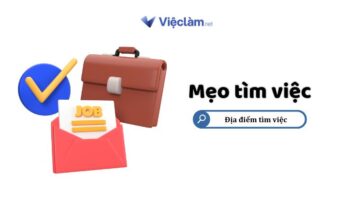 Danh sách các trung tâm giới thiệu việc làm TPHCM và thông tin liên hệ Trung tâm giới thiệu việc làm TPHCM