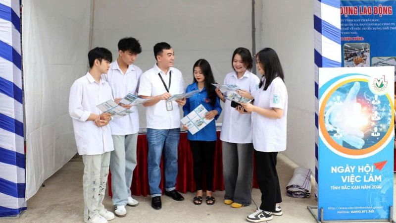 Trường hợp cần đến trung tâm giới thiệu việc làm Bắc Kạn