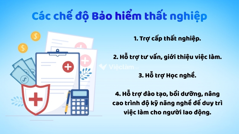 Có 04 chế độ Bảo hiểm thất nghiệp mà người lao động lẫn doanh nghiệp cần nắm rõ