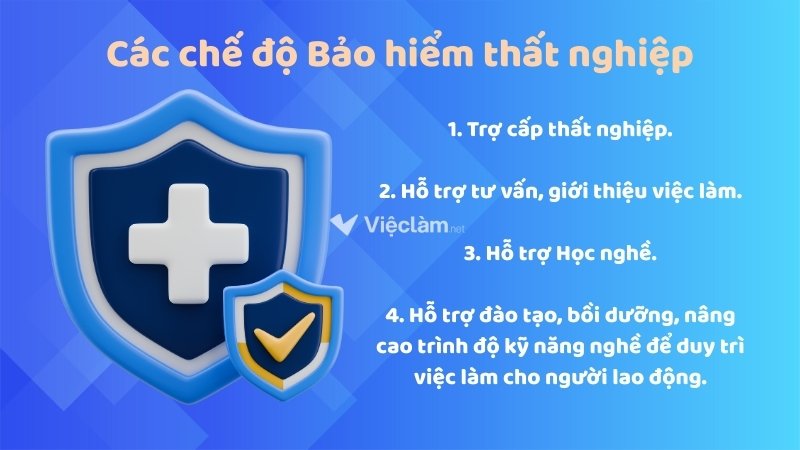 Địa điểm nộp hồ sơ bảo hiểm thất nghiệp tại Quận 12, TP HCM Các chế độ bảo hiểm thất nghiệp theo quy định