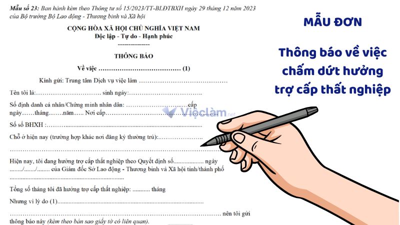 Địa điểm nộp hồ sơ bảo hiểm thất nghiệp tại Quận 7, TP HCM Mẫu đơn Thông báo về việc chấm dứt hưởng trợ cấp thất nghiệp