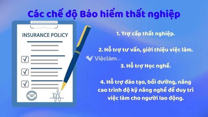 Địa điểm nộp hồ sơ bảo hiểm thất nghiệp tại Quận 7, TP HCM Người lao động cần nắm rõ 04 chế độ bảo hiểm thất nghiệp để đảm bảo quyền lợi của mình