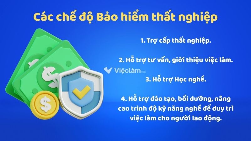 Các chế độ Bảo hiểm thất nghiệp mà người lao động cần nắm rõ