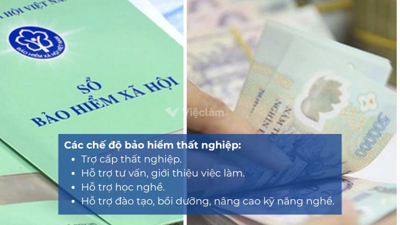 Địa điểm nộp hồ sơ bảo hiểm thất nghiệp tại Quận Gò Vấp, TP HCM 4 chế độ bảo hiểm thất nghiệp