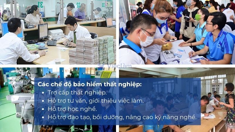 Địa điểm nộp hồ sơ bảo hiểm thất nghiệp tại Quận 11, TP HCM Các chế độ bảo hiểm thất nghiệp