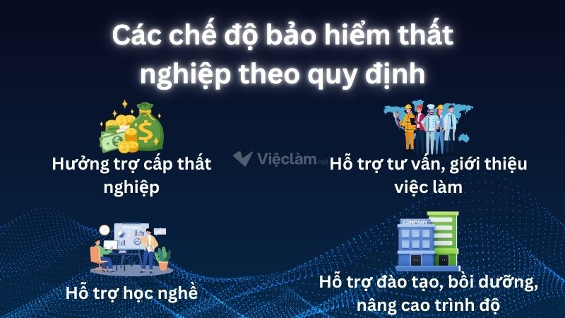 Địa điểm nộp hồ sơ bảo hiểm thất nghiệp Quận 5, TP HCM Các chế độ bảo hiểm thất nghiệp theo quy định
