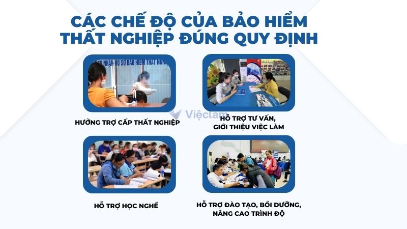 Các chế độ bảo hiểm thất nghiệp theo quy định.