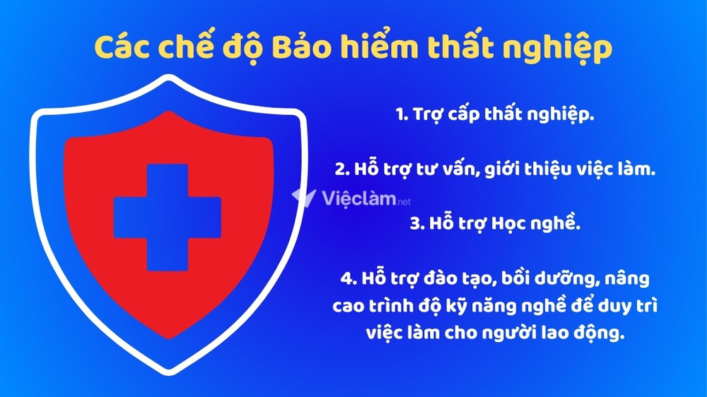 Địa điểm nộp hồ sơ bảo hiểm thất nghiệp tại Củ Chi, TP HCM 04 chế độ Bảo hiểm thất nghiêp mà người lao động cần quan tâm để bảo vệ quyền lợi bản thân