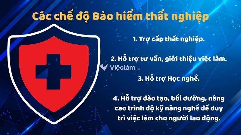 Người lao động cần nắm rõ 04 chế độ Bảo hiểm thất nghiệp để bảo vệ quyền lợi bản thân